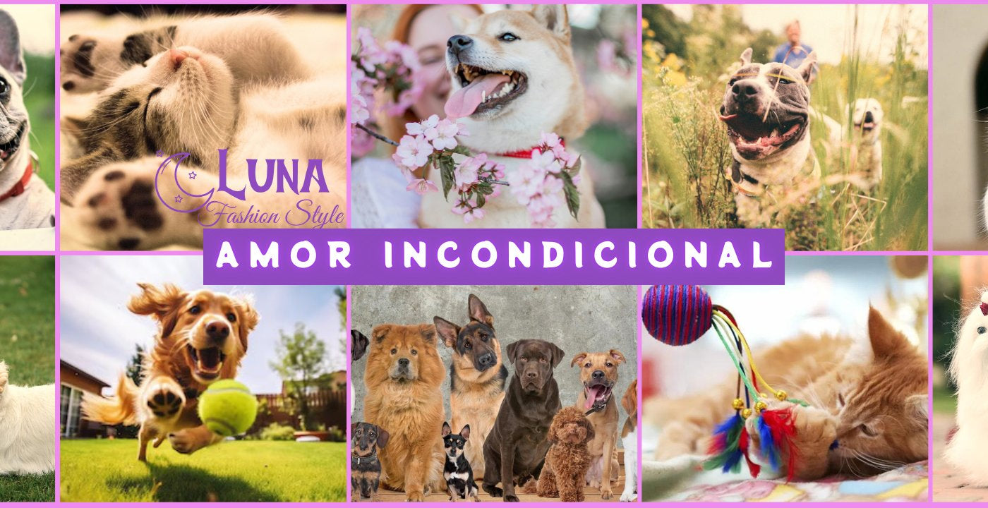 Pets - Luna Fashion Style