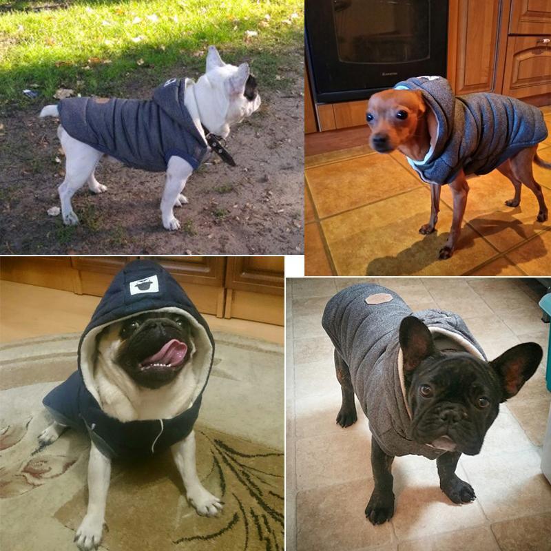 Casaco p/ Pet | Gentleman - Luna Fashion Style -