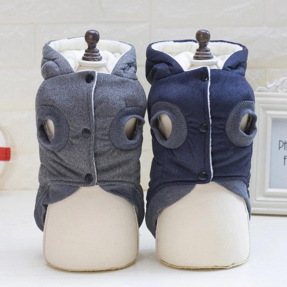 Casaco p/ Pet | Gentleman - Luna Fashion Style -