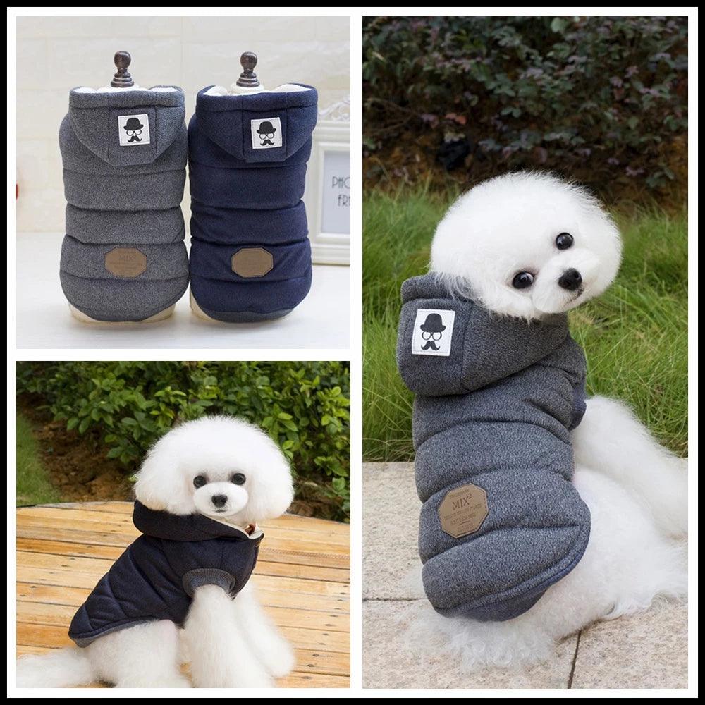 Casaco p/ Pet | Gentleman - Luna Fashion Style -