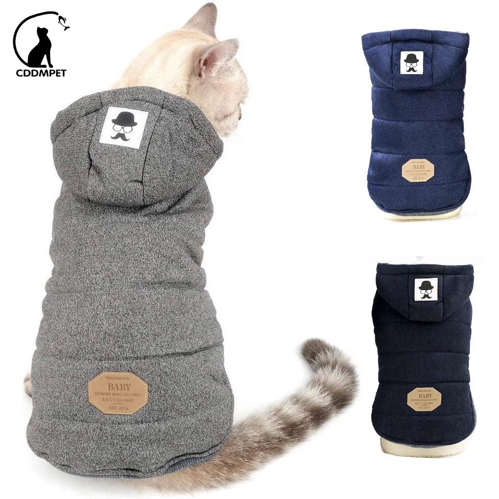 Casaco p/ Pet | Gentleman - Luna Fashion Style -