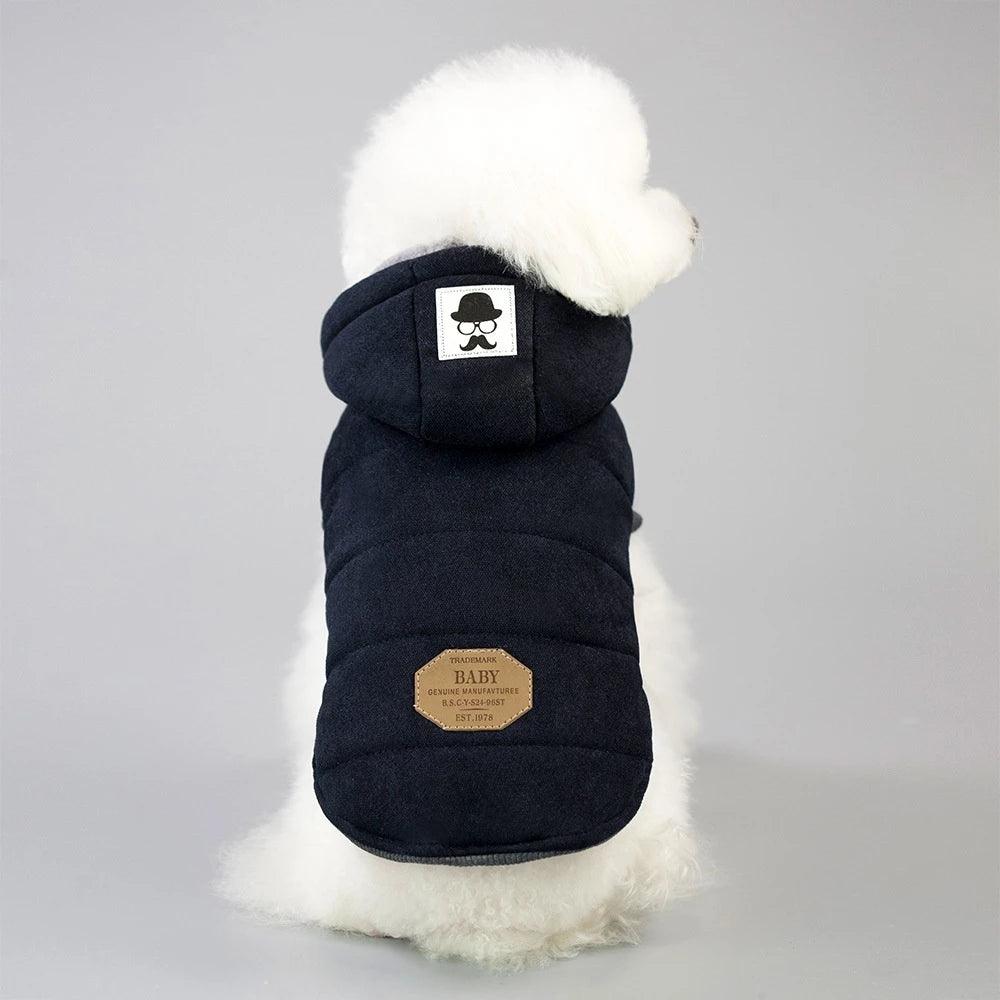 Casaco p/ Pet | Gentleman - Luna Fashion Style -