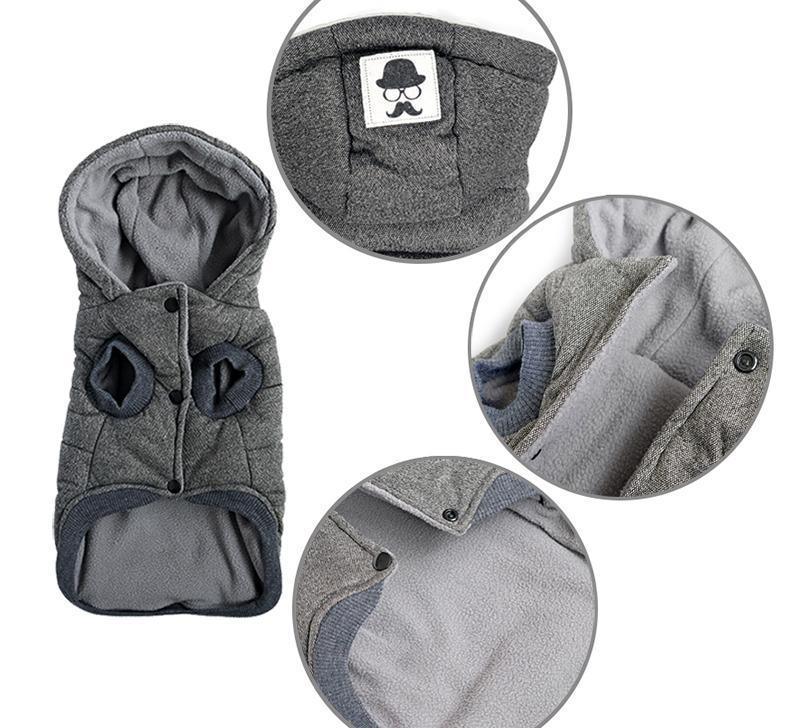 Casaco p/ Pet | Gentleman - Luna Fashion Style -