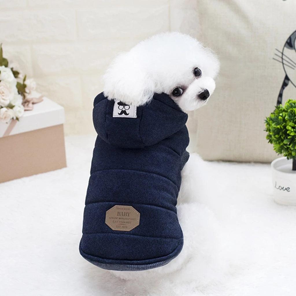 Casaco p/ Pet | Gentleman - Luna Fashion Style -