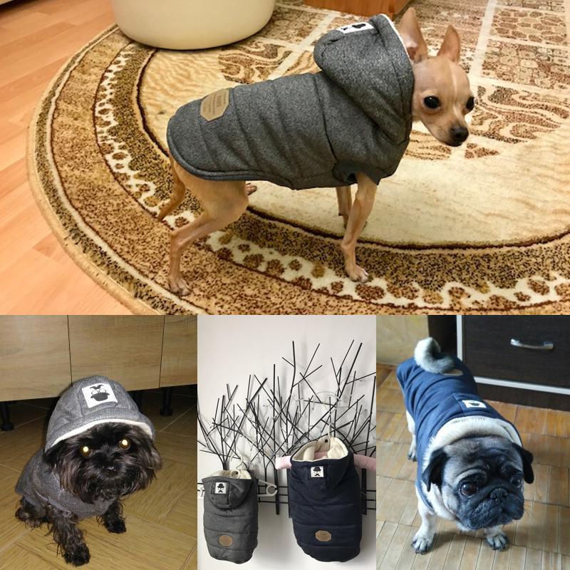 Casaco p/ Pet | Gentleman - Luna Fashion Style -
