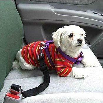 Cinto de Segurança Pet Ajustável - Luna Fashion Style -