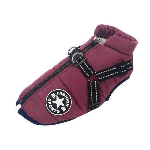 Colete Corta - Vento Pet Jones⢠| Roupa Para Cachorro - Luna Fashion Style - mais vendidos