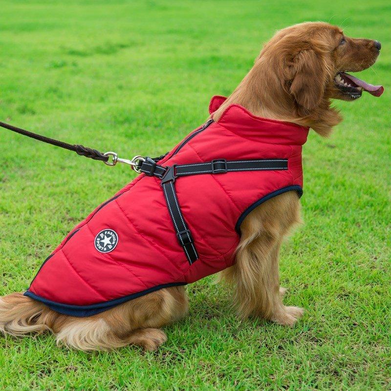 Colete Corta - Vento Pet Jones⢠| Roupa Para Cachorro - Luna Fashion Style - mais vendidos