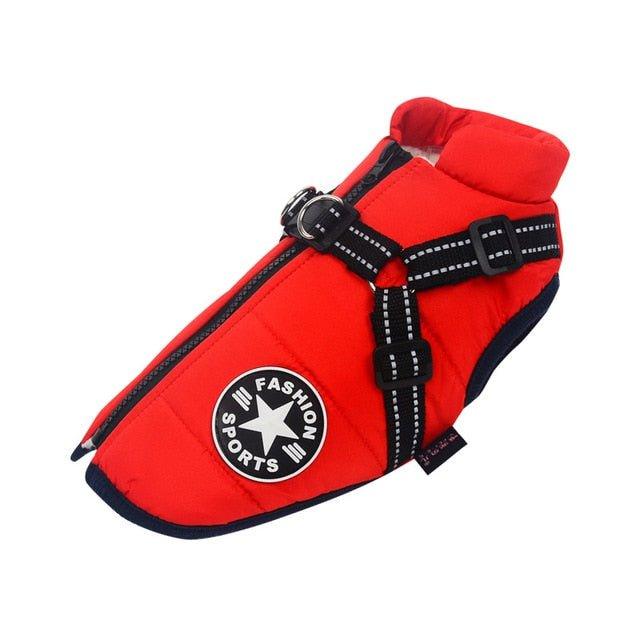 Colete Corta - Vento Pet Jones⢠| Roupa Para Cachorro - Luna Fashion Style - mais vendidos