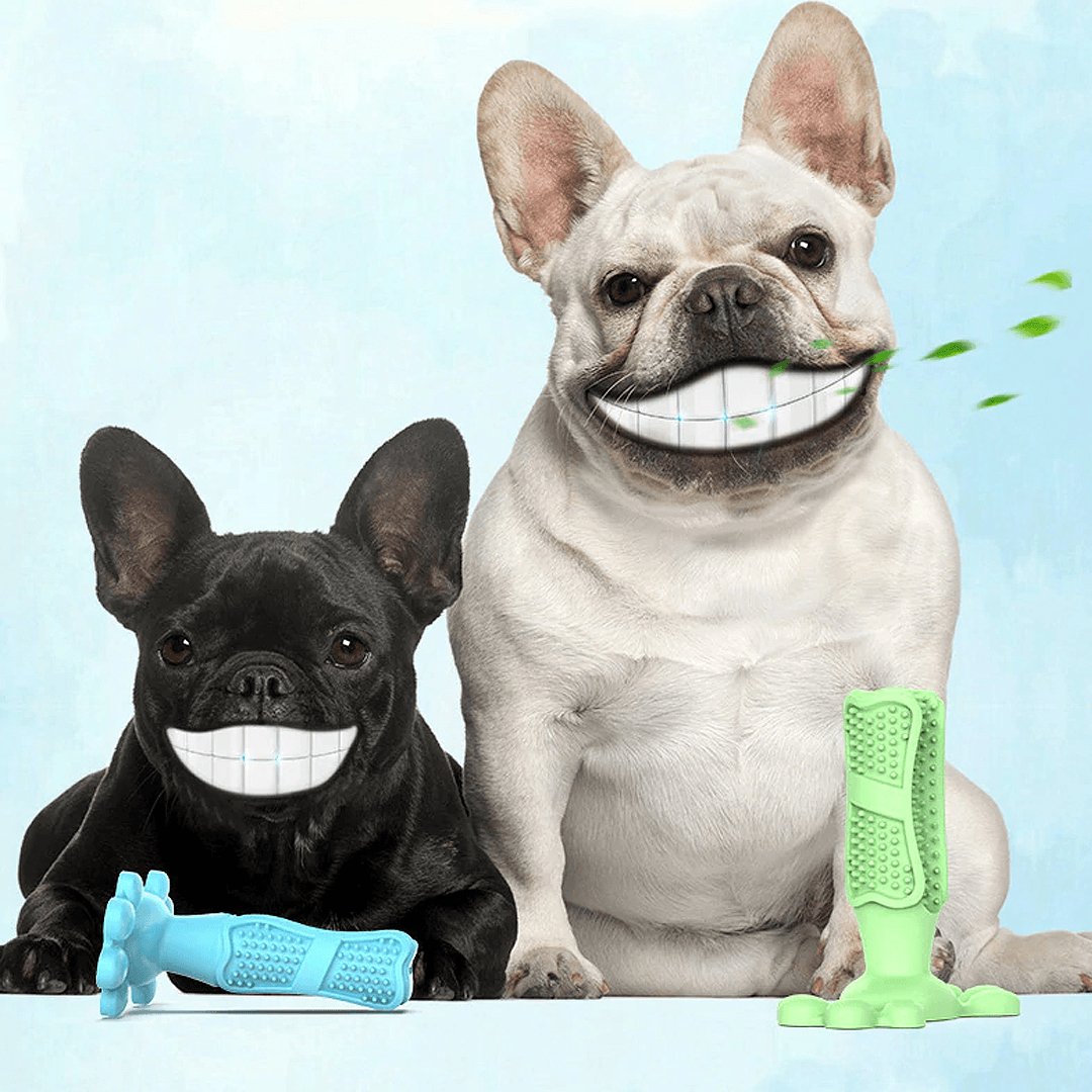 Escova Dente Pet Clean | Remove Tártaro - Luna Fashion Style -