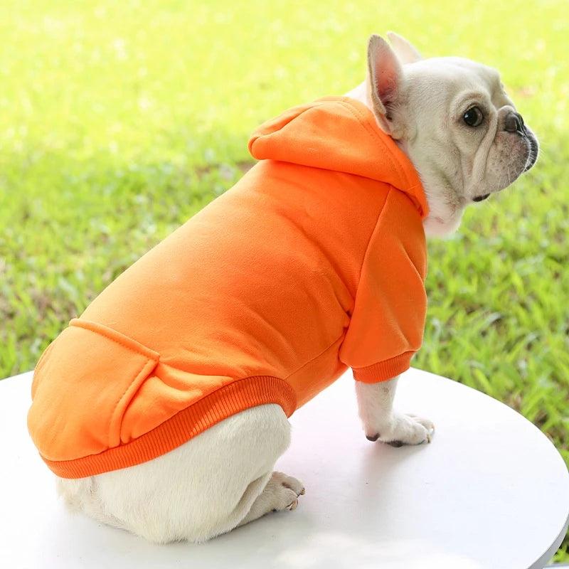 Moletom p/ Pet - Luna Fashion Style -