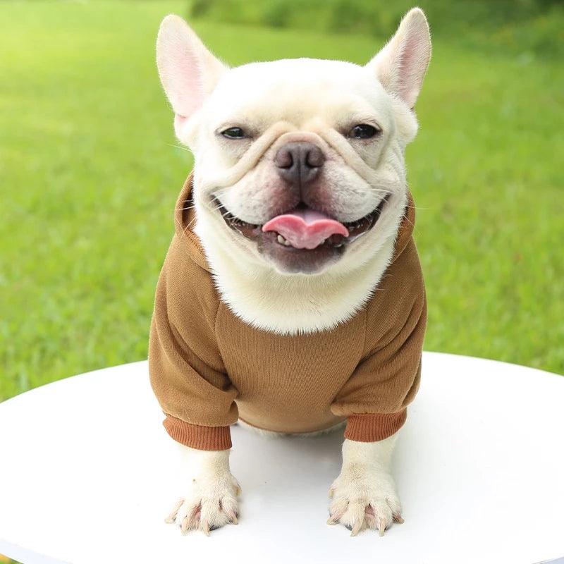 Moletom p/ Pet - Luna Fashion Style -