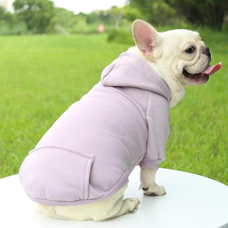 Moletom p/ Pet - Luna Fashion Style -