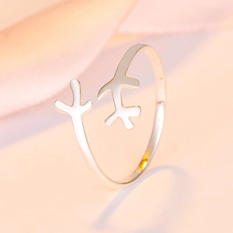 Anillo delicado - Plata S925 ajustable y minimalista