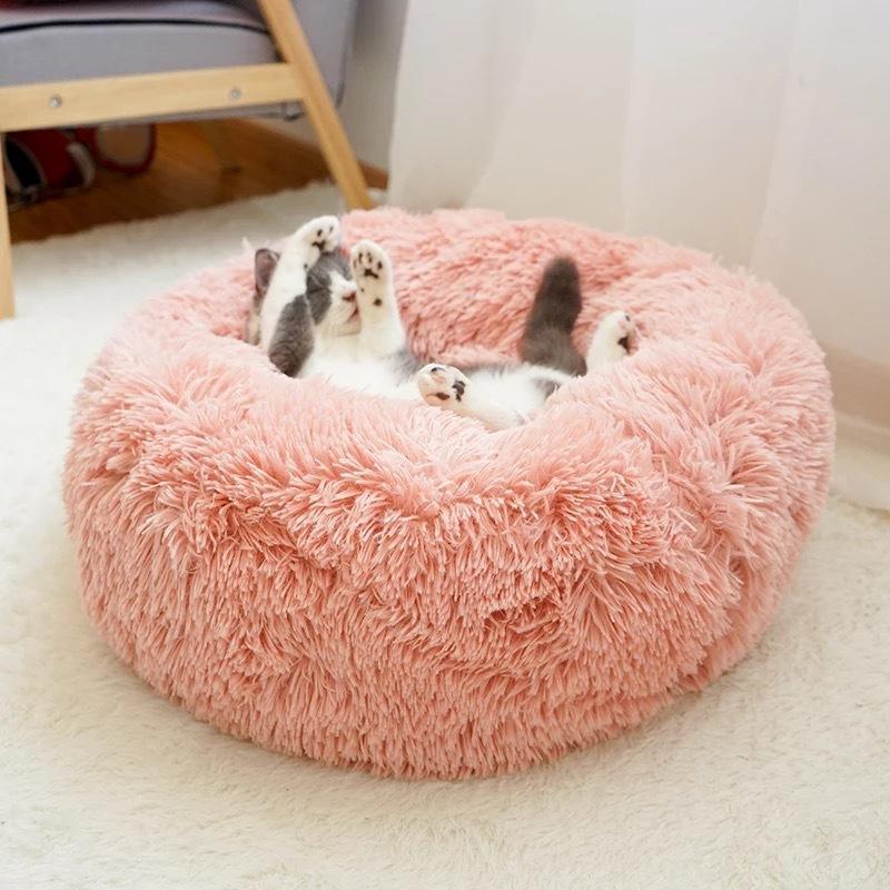 Cama Confortável para Cães e Gatos - Luna Fashion Style - mais vendidos