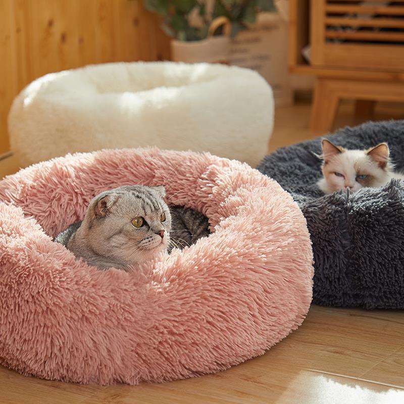 Cama Confortável para Cães e Gatos - Luna Fashion Style - mais vendidos