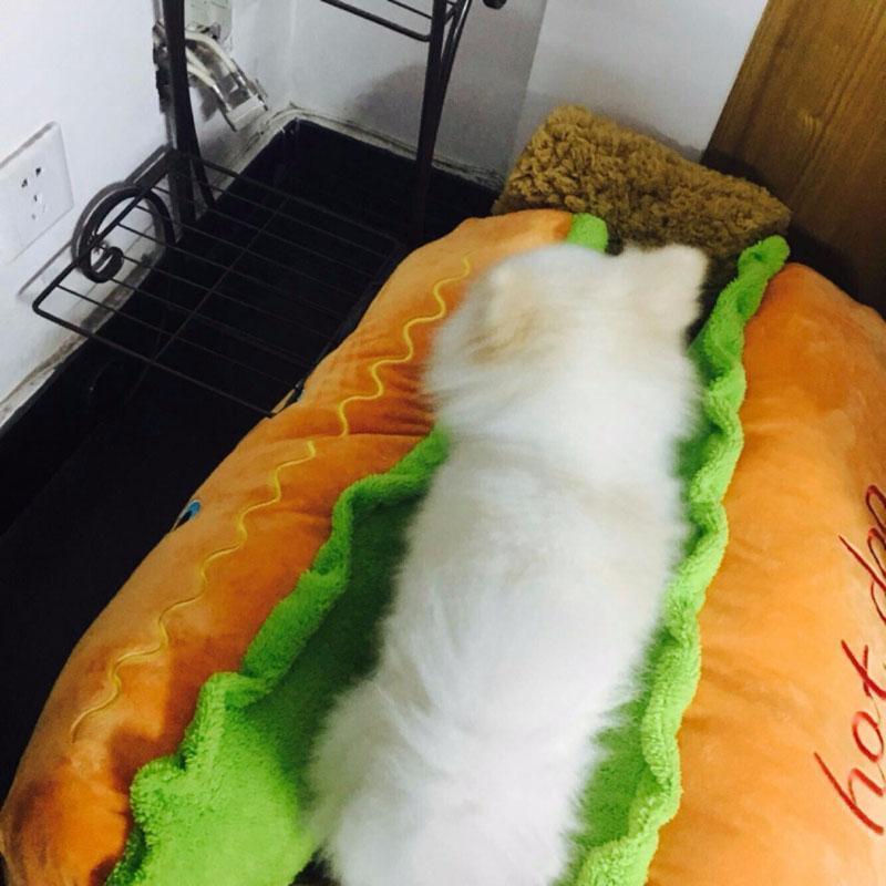 Cama para Pets - Hot Dog - Luna Fashion Style - mais vendidos