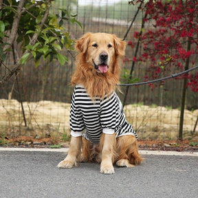 Camiseta Dog Shoulder™ | Roupa Para Cachorro - Luna Fashion Style - mais vendidos