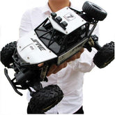 Carrinho de Controle Remoto 4X4 Monster Truck - Luna Fashion Style - brinquedo