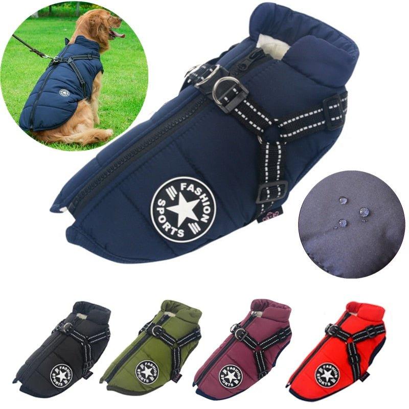 Colete Corta - Vento Pet Jones™ | Roupa Para Cachorro - Luna Fashion Style - mais vendidos