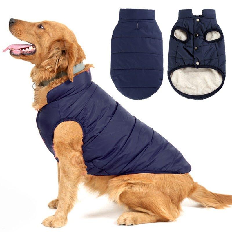 Colete Pet Steve™ | Roupa Para Cachorro - Luna Fashion Style - mais vendidos